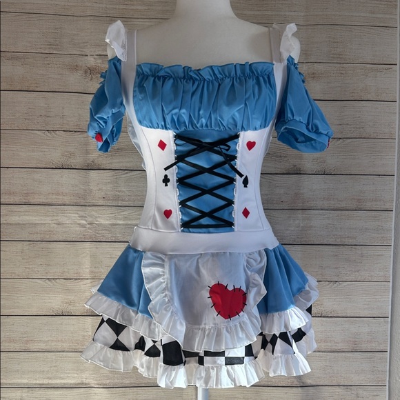 Alice in Wonderland Costume - Picture 1 of 4